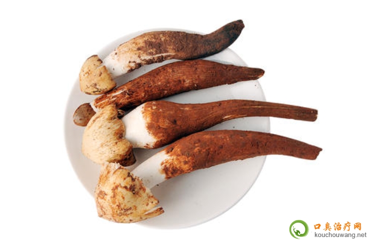 口臭可以吃雞樅 口臭可以吃雞樅