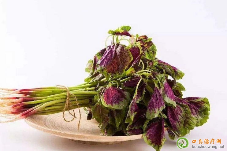 口臭可以吃紅葉莧菜 口臭可以吃紅葉莧菜