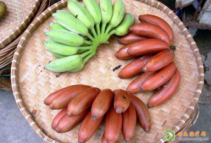 口臭可以吃紅香蕉 口臭可以吃紅香蕉