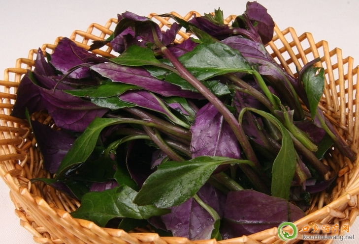 口臭可以吃觀音菜 口臭可以吃觀音菜